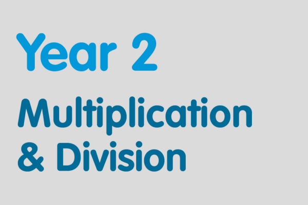 Year 2 activities for practising: Multiplication & Division